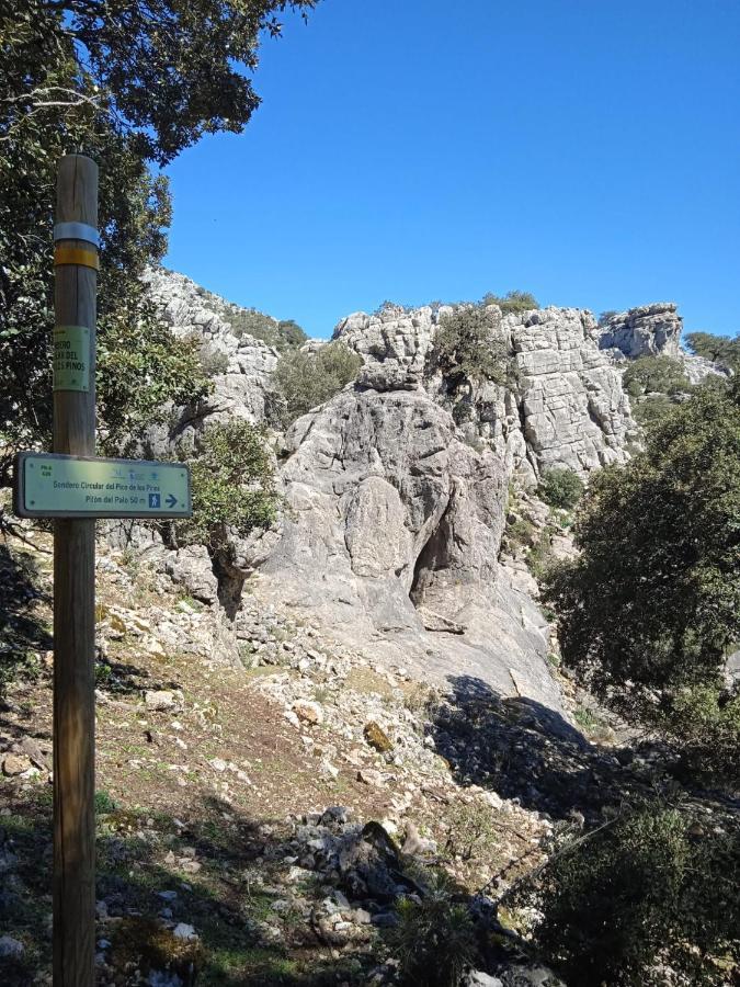 Pension La Sierra Cortes de la Frontera Eksteriør bilde